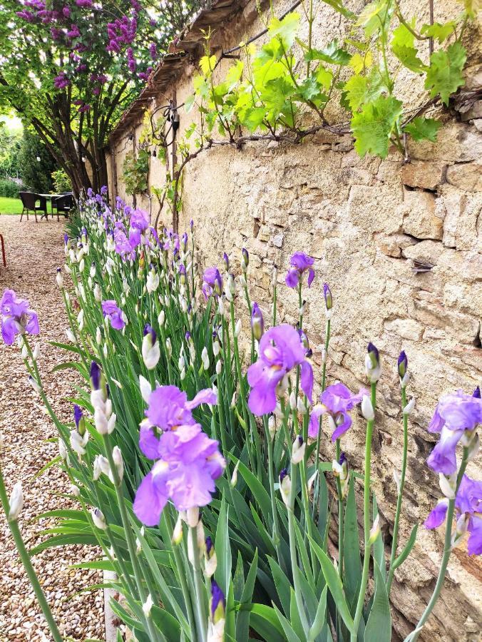 Le 14 Faubourg Bed & Breakfast Beaune  Exterior photo
